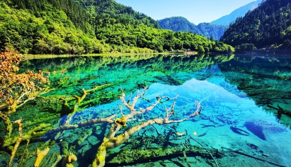 “世界的眼睛看九寨”2024年九寨沟国际旅游营销宣传活动正式开启！