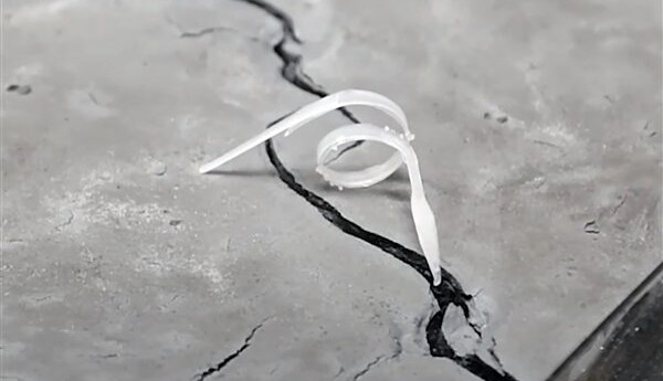 意大利开发4D打印的机器人：可随环境改变形状