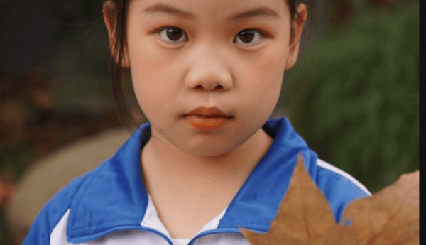 上海礼智信影视文化传媒出品的《三年二班奇遇记》正式开拍