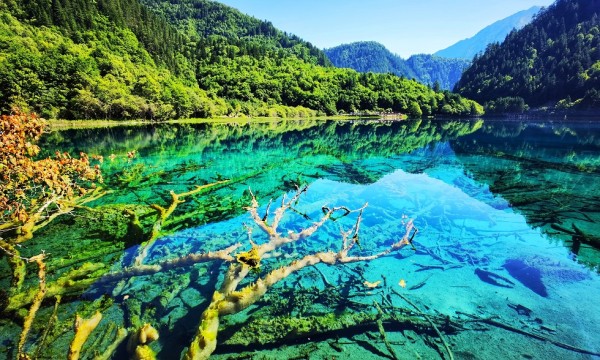 “世界的眼睛看九寨”2024年九寨沟国际旅游营销宣传活动正式开启！